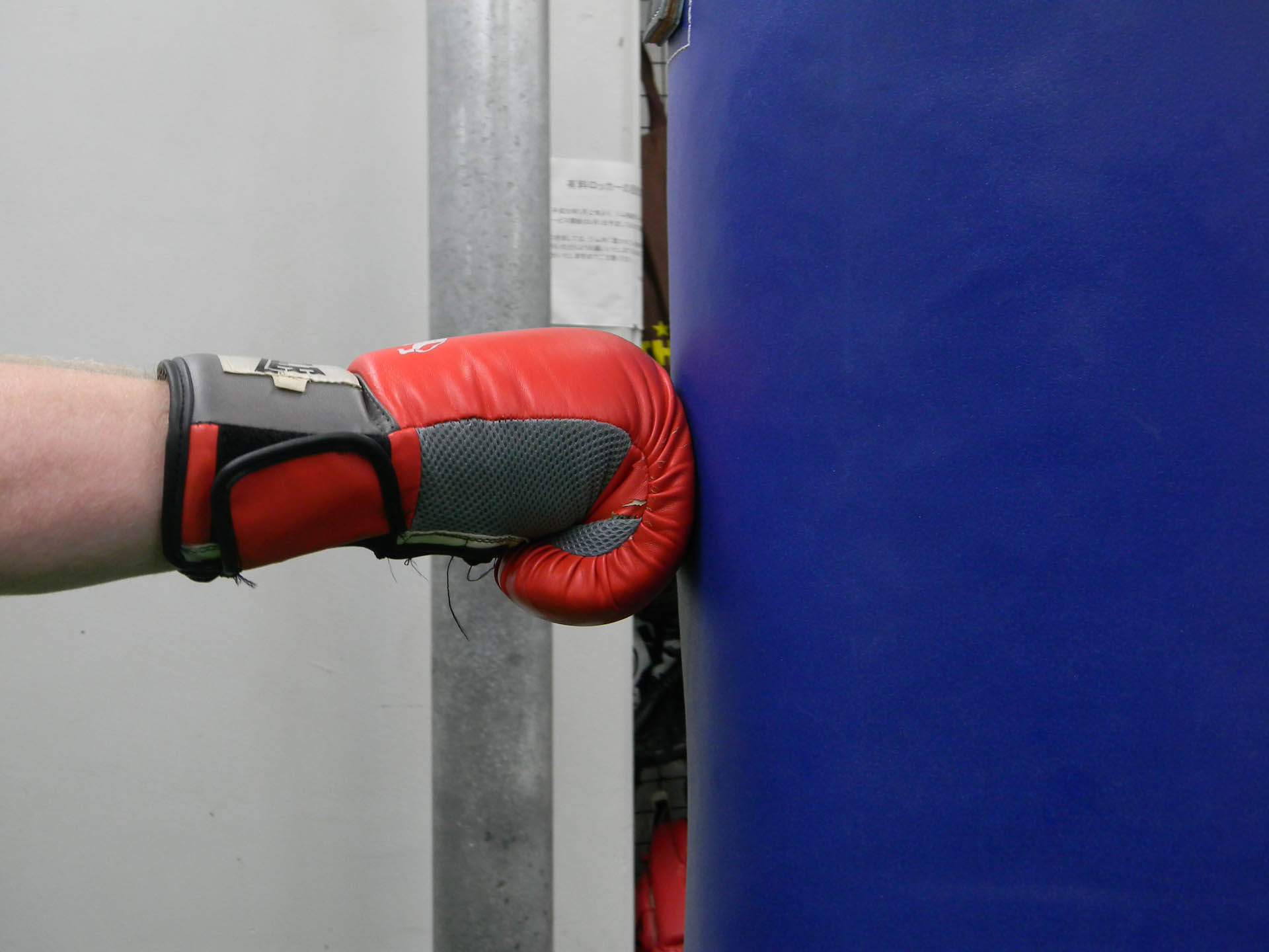 ボクシング 初心者セット 6か月使用 グローブ 